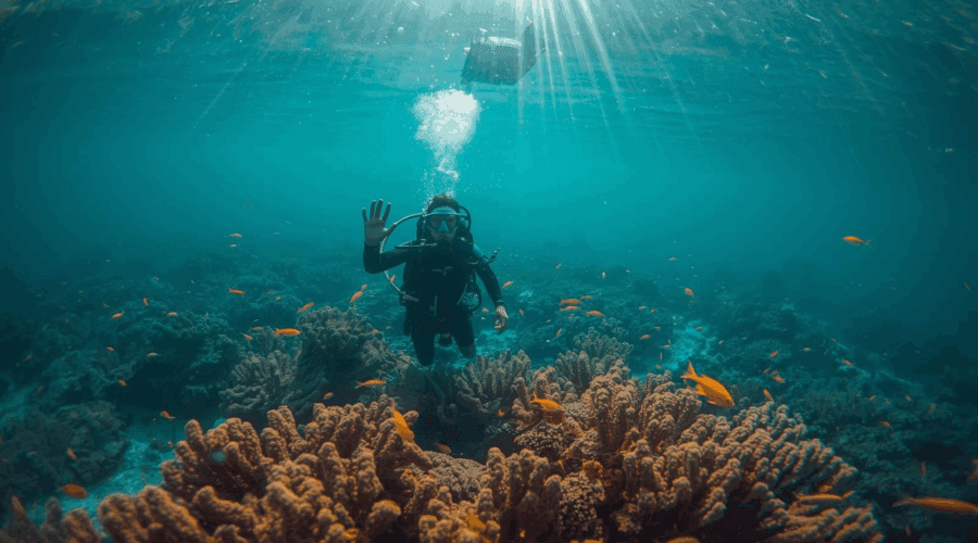 Tarkarli & Malvan: Clear Water, Friendly Fish, and GoPro Bragging Rights